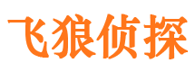 凤城市调查公司